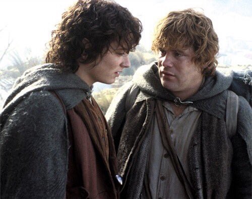 Remember how gay those scenes were with frodo and sam.