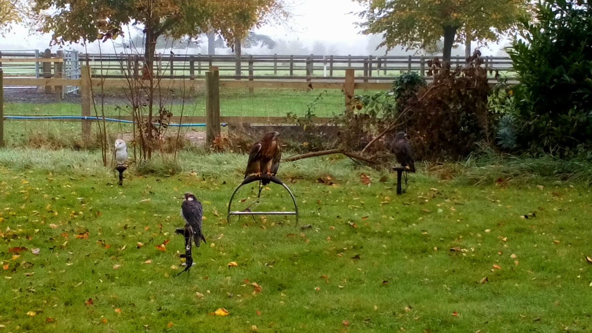 Animal Behaviour &amp; Welfare student, Roxie, organised a great 'Birds of Prey' session for classmates with <a href="/wheatleybirds/">Clive Jones</a> over half term