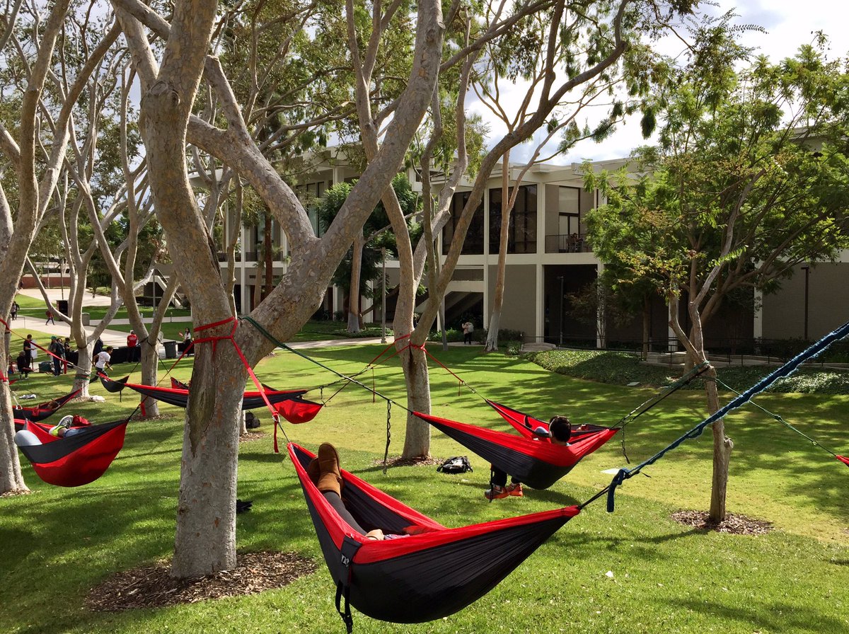 PresConoley's tweet photo. #ProjectChill happening today from 11am to 2pm on the USU North Lawn. Come by to enjoy the #hammocks! #GoBeach #MySRWC https://t.co/RG8f2J789k