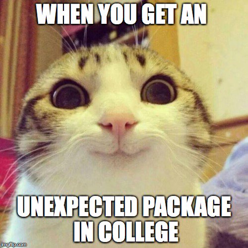 omoralesASU's tweet photo. Was so excited to get my package today (literally the emotions that this cat is showing) and it was my roommates :(
#cutecatmeme https://t.co/Cx04pR3YCA