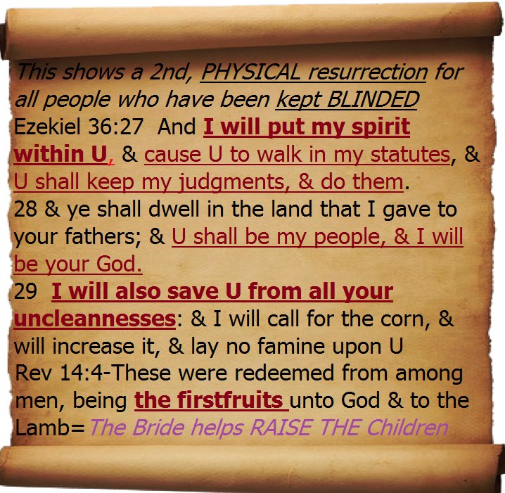 royfptrsn's tweet image. Ezekiel 36:26  A new heart-will I give U
&amp;amp; a new spirit will I put in U
&amp;amp; I will take-t stony heart out o UR flesh
&amp;amp;-give U a heart of flesh