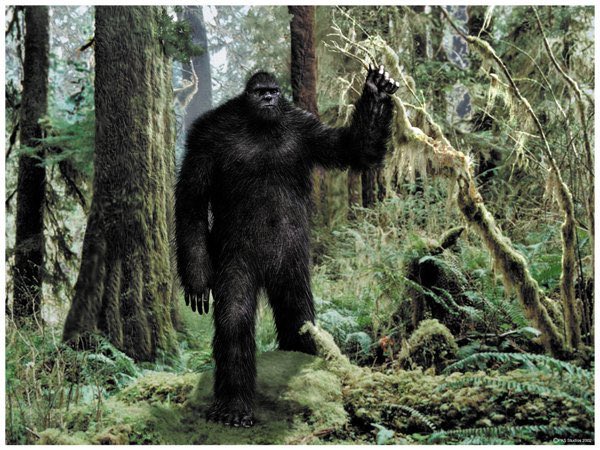 HeelsOnSideline's tweet photo. Big Foot or Eversource crew -- which one really exists?!? @EversourceCT #Day4nopower https://t.co/gQ90sUQee8
