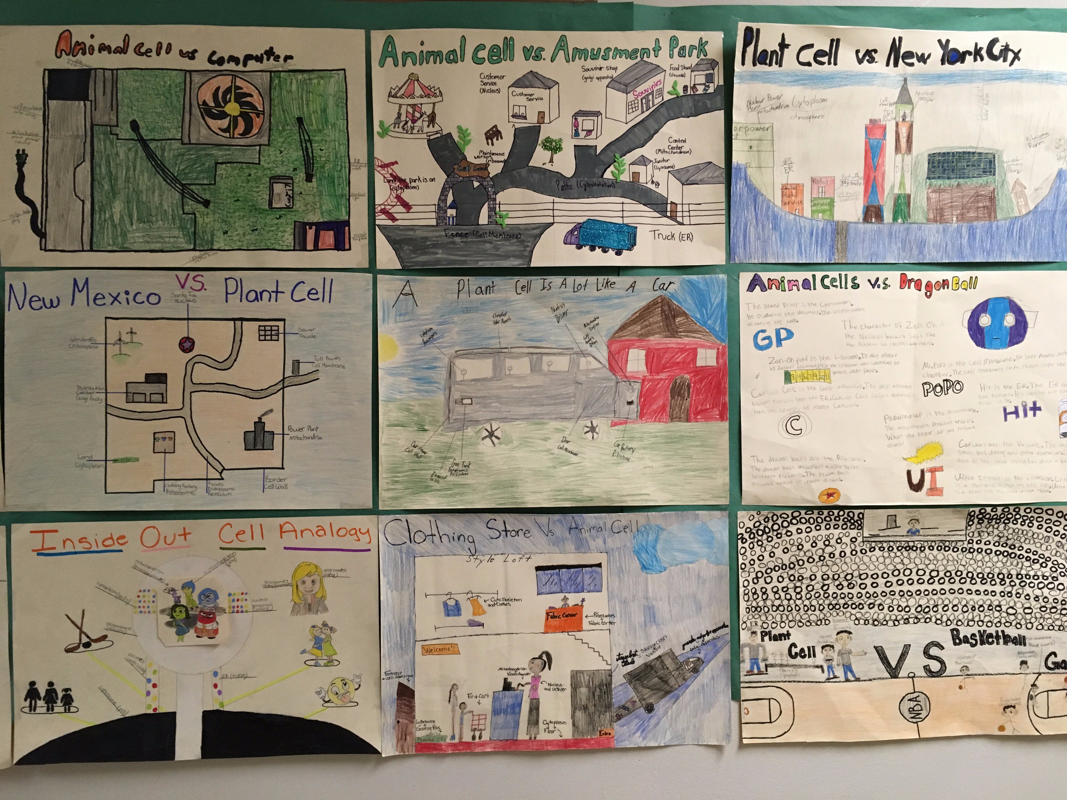 animal cell project poster