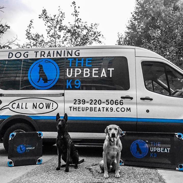 theupbeatk9's tweet photo. We're loving our new branded place cots from 4legs4pets! https://t.co/ARQurln7fH https://t.co/T7DtiwIjwr