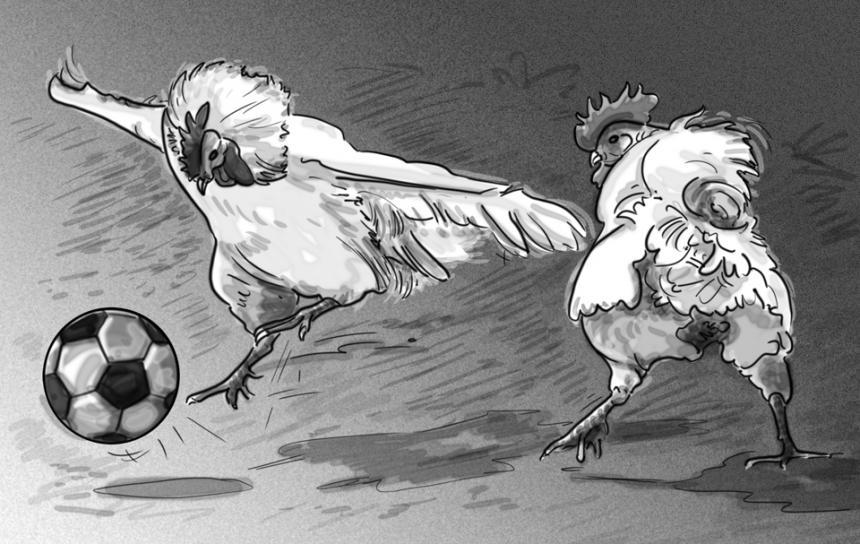 soccergeniusca's tweet photo. Why did the chicken get a penalty?

For fowl play! #soccergenius #canada #soccer #kidjokes #soccerjokes https://t.co/ZBLjQtcEiL