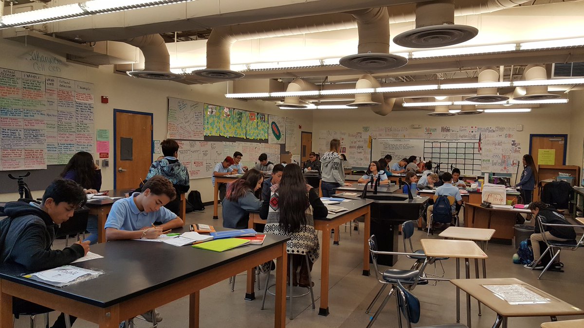 Rachel W Wright tweet media