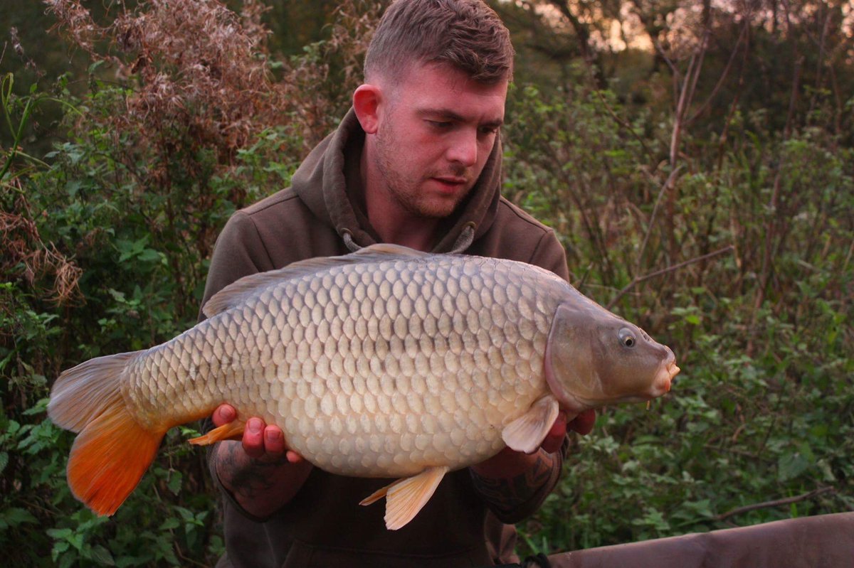CoreBaits_uk's tweet photo. **The move paid off**
https://t.co/QTyrIl5TIv
4 graced the net for Coops on his latest session, CB4 pop ups and crushed boilies
#CB4effect https://t.co/KoCs5X9Jxs