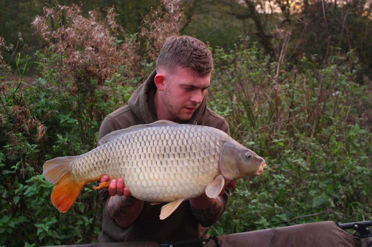 CoreBaits_uk's tweet photo. **The move paid off**
https://t.co/QTyrIl5TIv
4 graced the net for Coops on his latest session, CB4 pop ups and crushed boilies
#CB4effect https://t.co/KoCs5X9Jxs