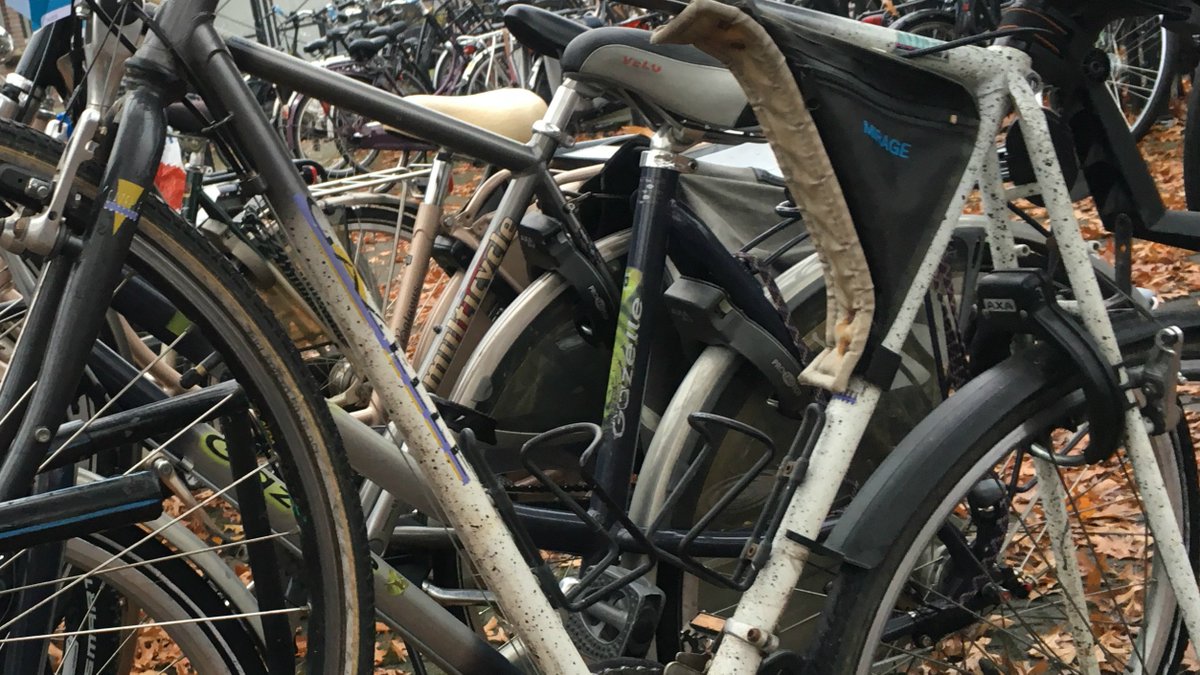 dtvdenbosch's tweet photo. D66 wil ondergrondse fietsenstalling bij station (video) https://t.co/v30diAVBz7 https://t.co/nG0K32fEkf