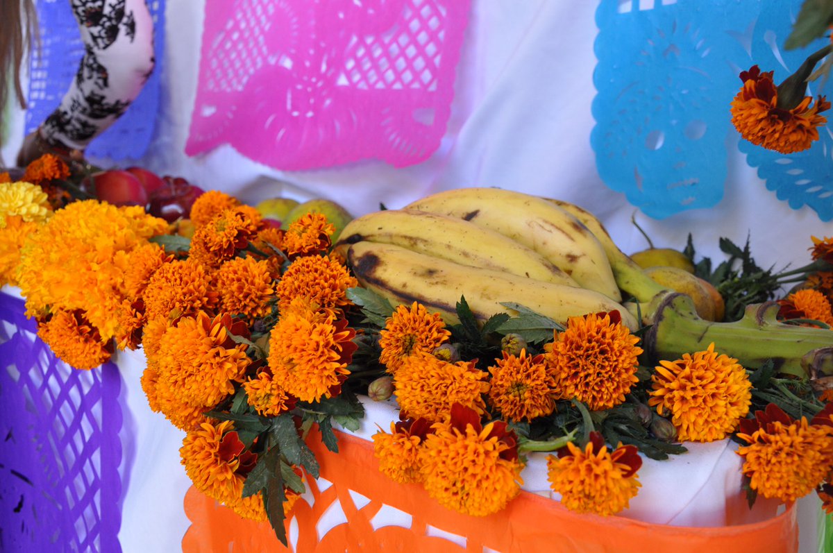 _RaulCruz_'s tweet photo. En palacio municipal pusimos nuestro #AltarDeMuertos, costumbres y tradiciones que nos dan identidad y recupera la hermandad de #SantaLucía. https://t.co/CSQIfsfm9b