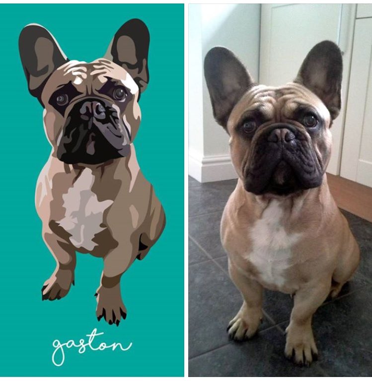 Before &amp; after of lovely Gaston the #frenchbulldog 💛 #woofwoofwednesday @WoofWoofNetwork #christmasgiftideas #giftideas