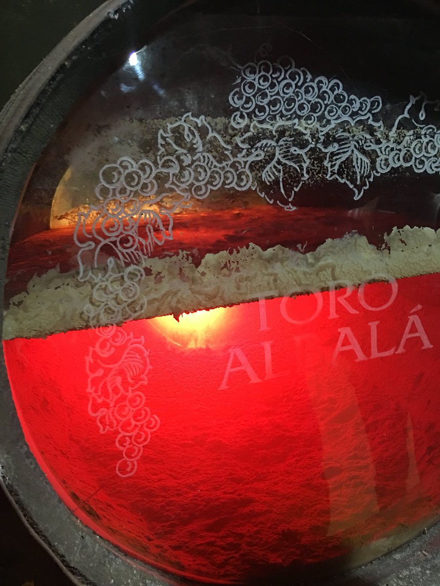 ZoltanCsabaNagy's tweet photo. El milagro de los vinos de crianza biológica hace que la flor, es algo totalmente buscado, cultivado y protegido cuidadosamente. https://t.co/Z1fvhuiMRY