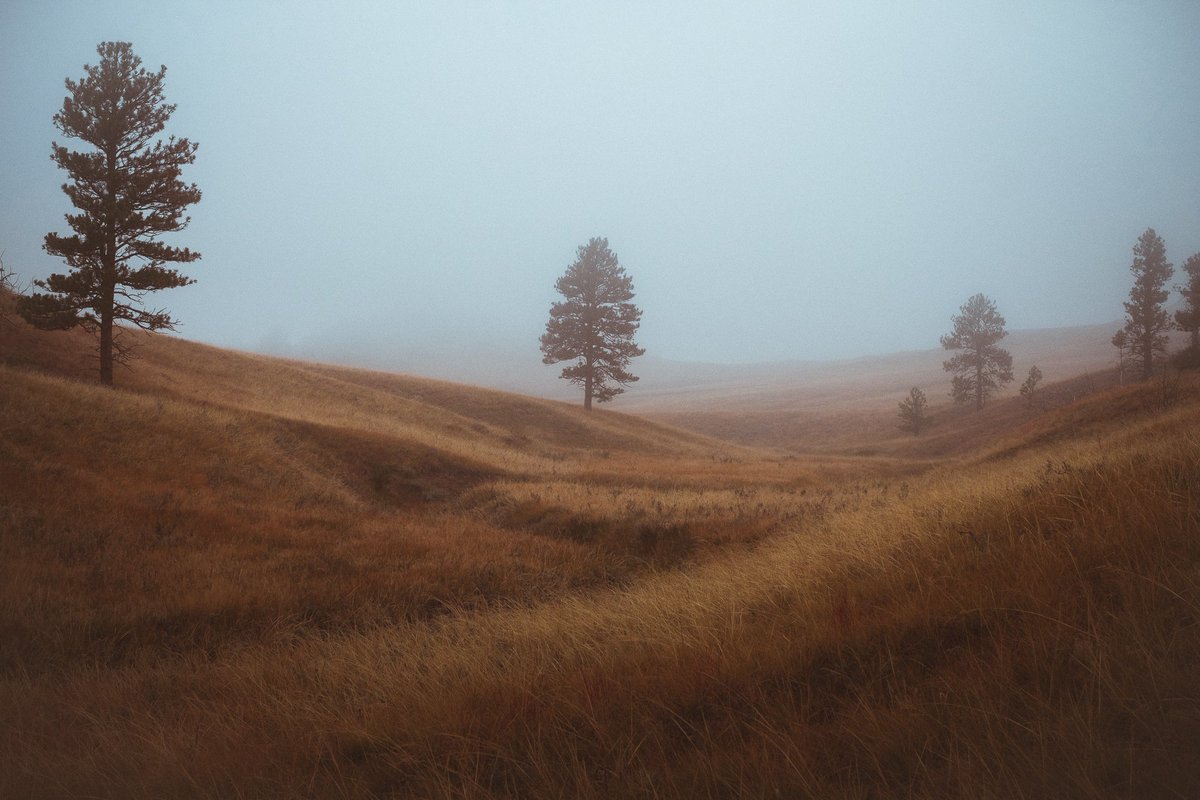 Atlas_Addict's tweet image. Searching for the Timeless with Christopher Scott #AmericanWest #myatlasaddict // atlasaddict.net/searching-for-…