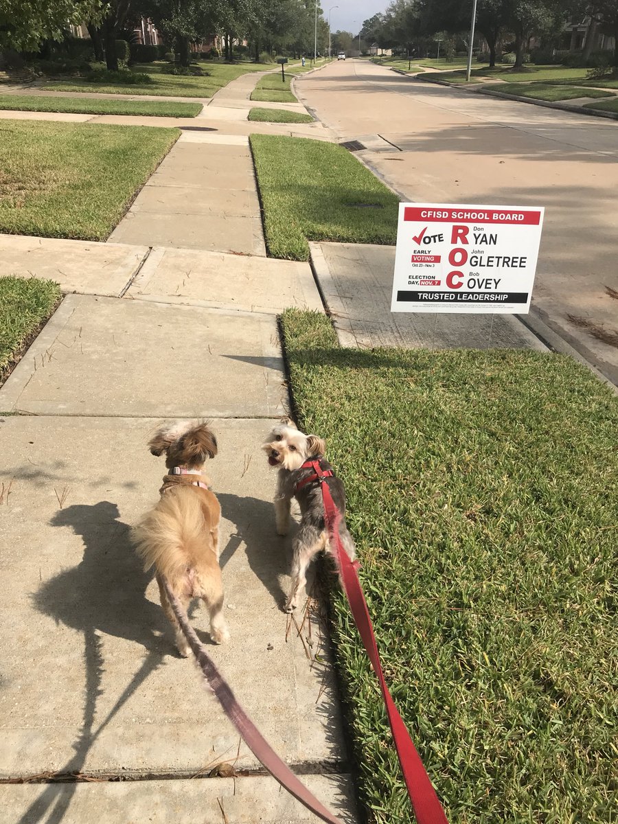 ROCtheVOTE's tweet photo. It���s a beautiful day to walk the dogs & go VOTE! We ❤️ seeing all of the #VoteROC signs around the neighborhood! 🐶 https://t.co/XwFBUQSHR7
