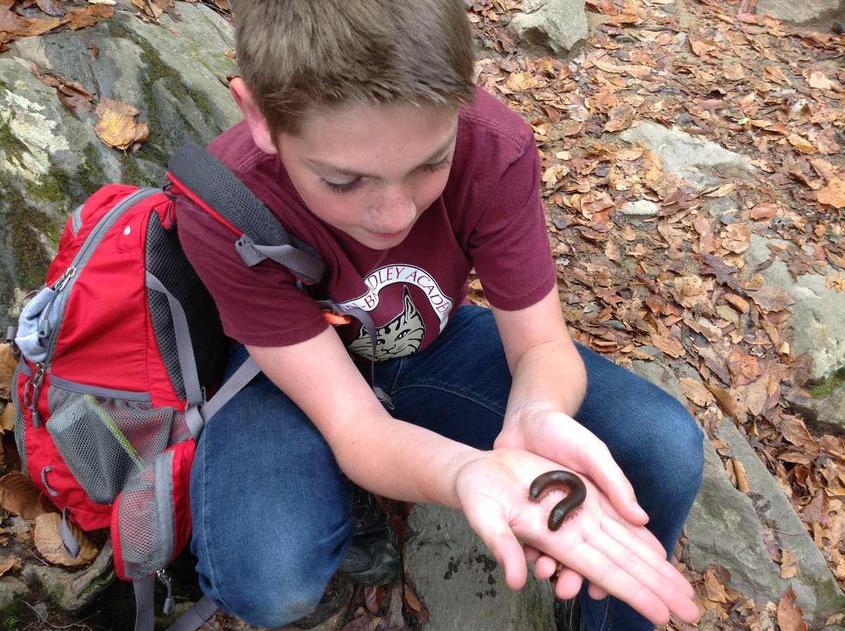 Mrs. Ehrenclou tweet media