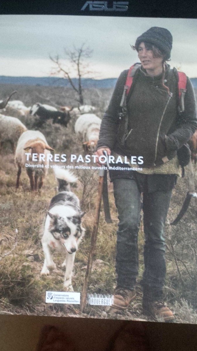 merialpes's tweet photo. Terres Pastorales un beau livre en souvenir des #RIAAM organiser par #UMTpasto et #IDELE avec de belles rencontres https://t.co/0vEfBT5Jar