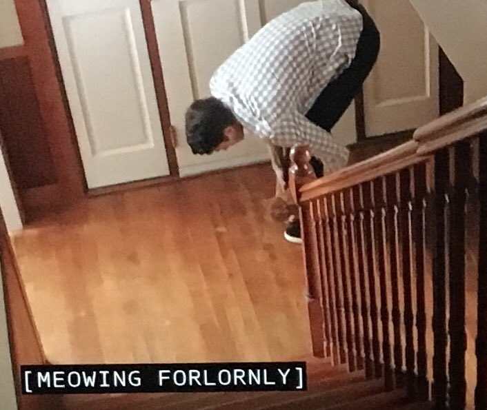 JulesHance's tweet photo. And the award for most amazingly specific closed caption goes to the cc writer of @hallmarkmovie 9 Lives of Xmas https://t.co/QkvL8giLjv