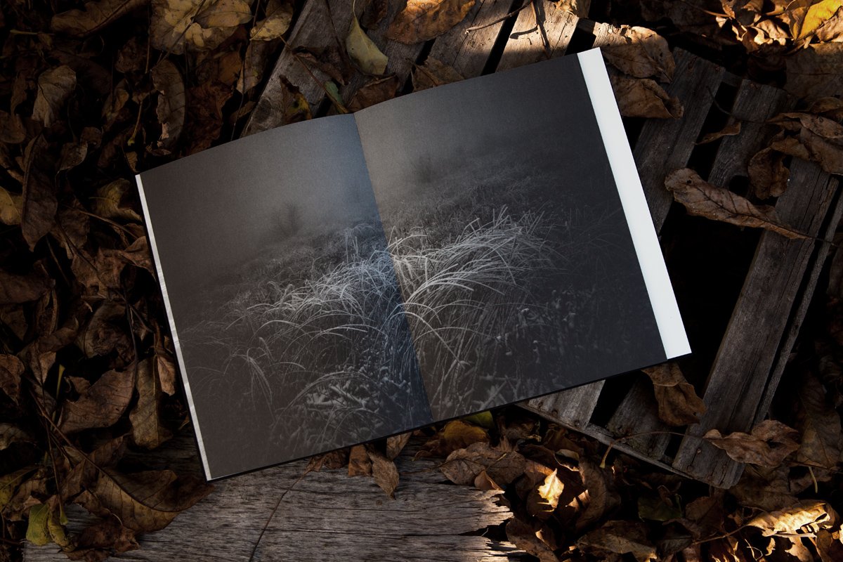 docphotomagazin's tweet photo. new @ doc! store: @AgataGrzybowska - 9 GATES OF NO RETURN
-> https://t.co/D4tvUWG7c3
Order it NOW! https://t.co/REjyrdiYmk