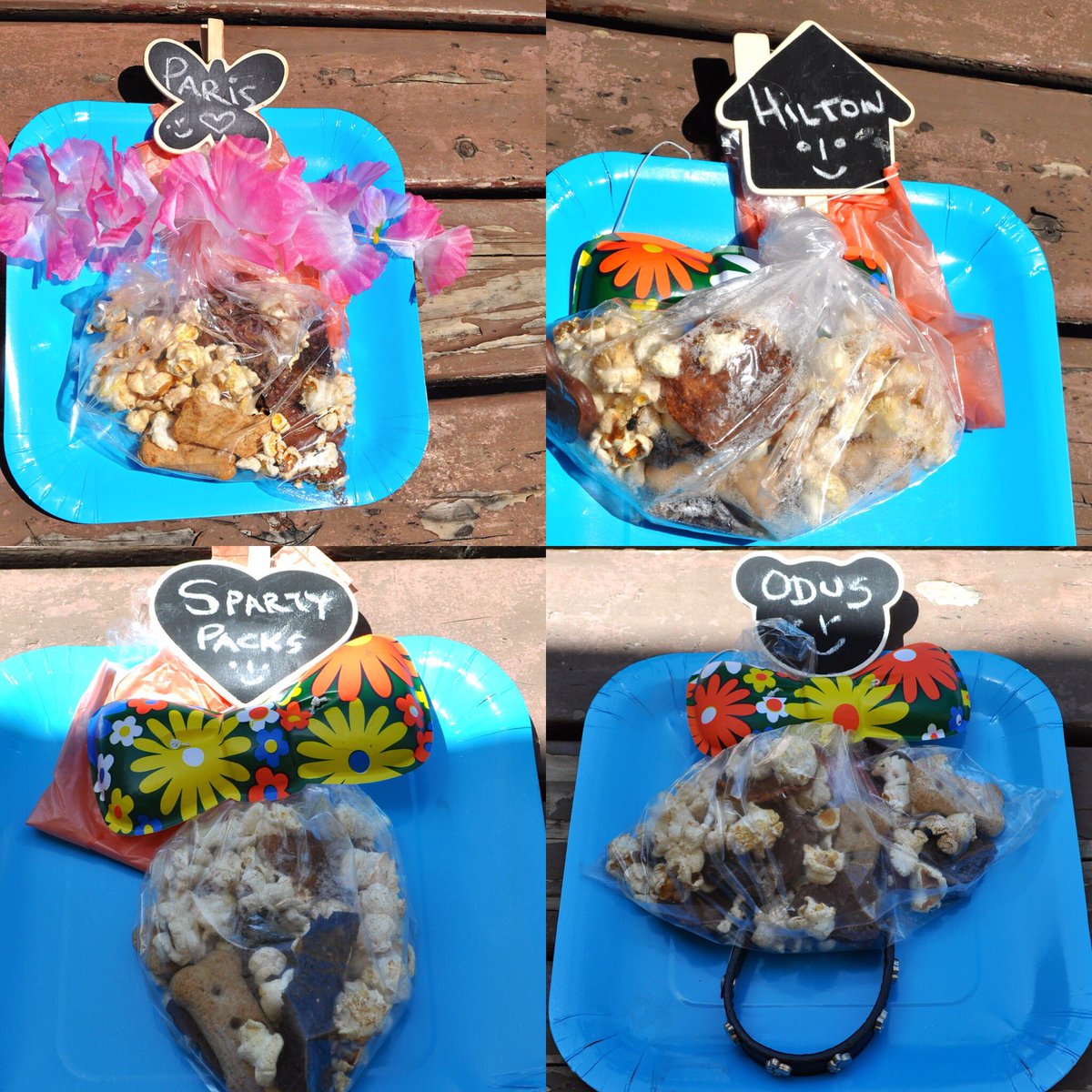 Welcome to #spartysparty 🐶🎂#spartacusturns1 #bostonterrier #dogparty #furson #ultimatelove #doglovers #labs #ExpressoShow <a href="/expressoshow/">Expresso Show</a>