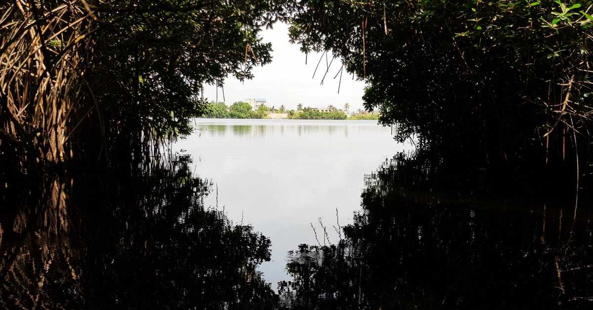 RomarickATOKE's tweet photo. #Benin is naturally beautiful ! © Romarick ATOKE Photography | https://t.co/1IWtsKpH6d
#Africa #Benin #DJIMavicPro #BabsDock #RAPhotography https://t.co/US47Cp4JNk