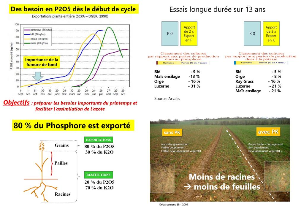 #Phosphore et #Potasse les 2 éléments oubliés de la #fertilisation et pourtant indispensables dès l'automne.