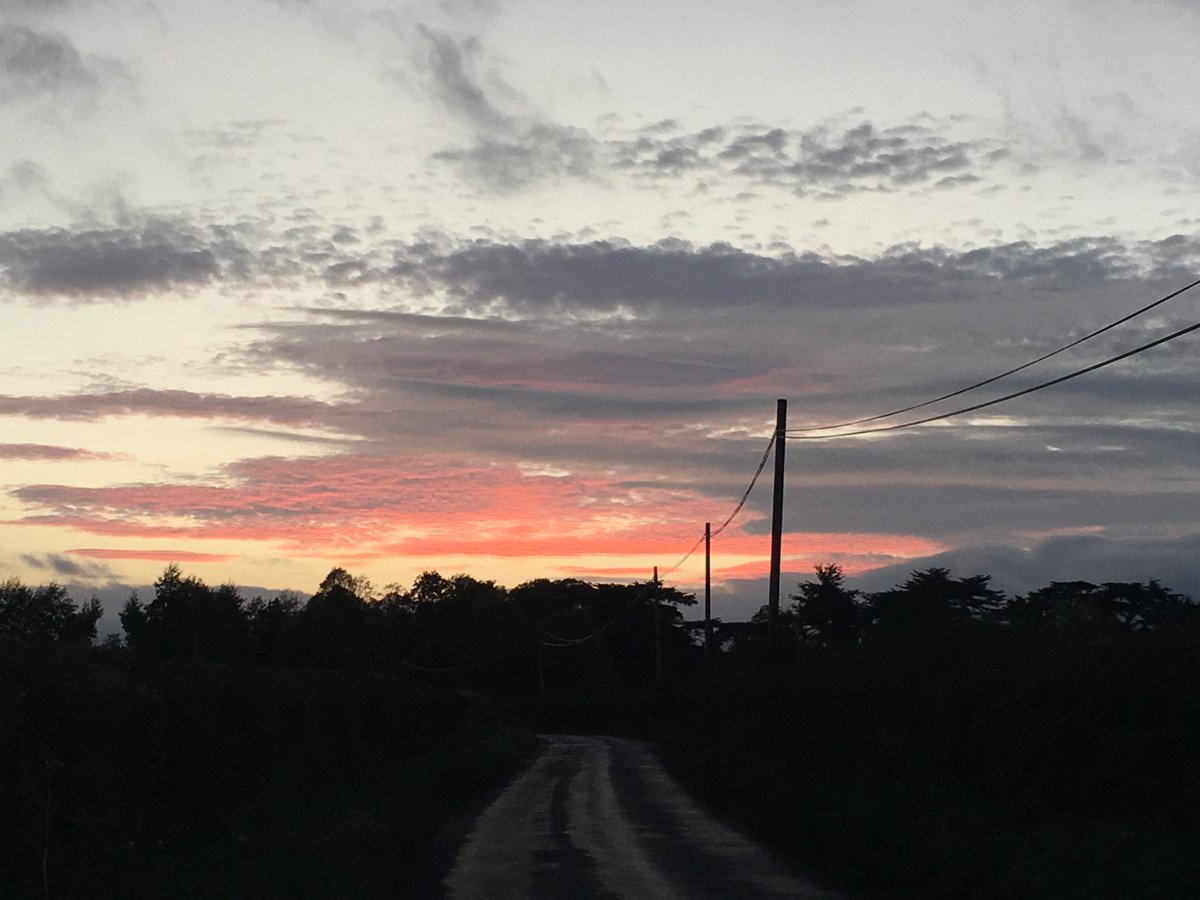 cuxhaminbloom's tweet photo. #November But of all the months when earth is greener Not one has clean skies that are cleaner. Clean and clear and sweet and cold E.Thomas https://t.co/xWNxG9mmrQ