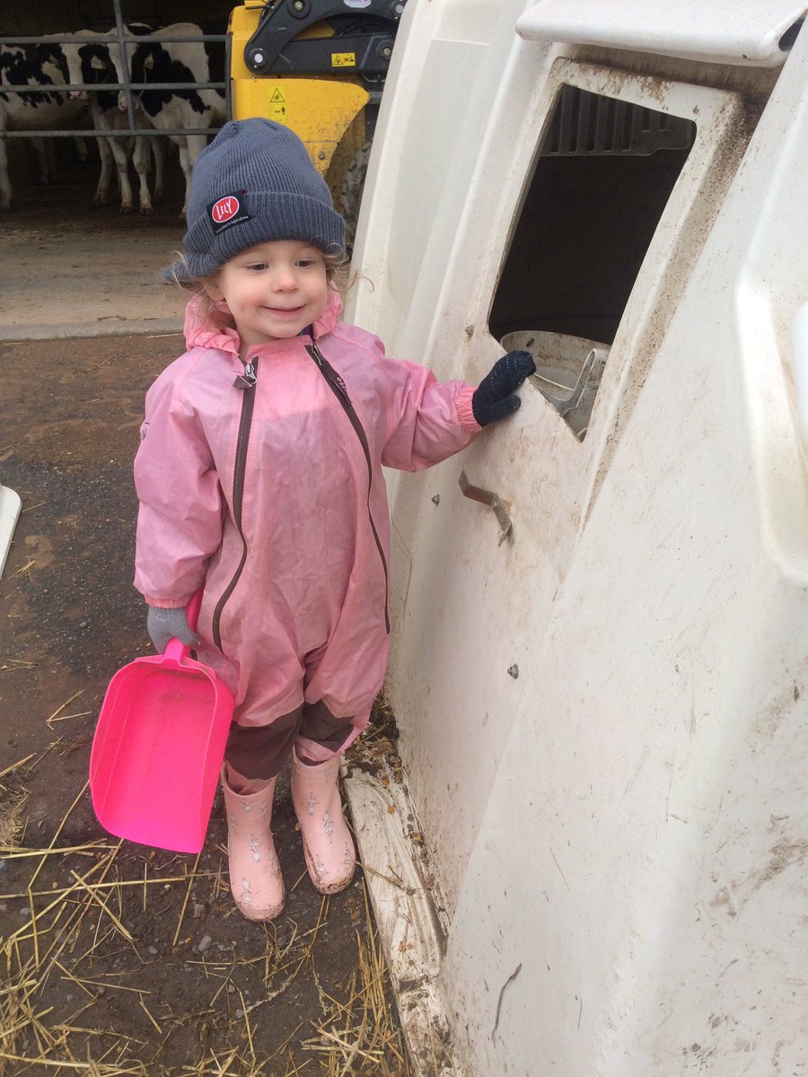 AmandaOConnell5's tweet photo. Happy Helper #farmkid #ontholstein #lely https://t.co/izj67lM9q4