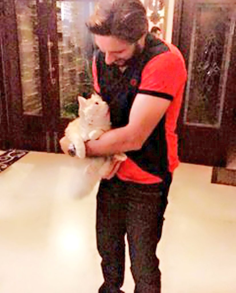 Injeela_10's tweet photo. Hayeeee 😍😍😍🙈🙈🙈
@SAfridiOfficial Lalaaa dekhain Billi bhi apko kitny goor se dekh rhi hai 😂😂🙈🙈😍😍😍 https://t.co/PChyXKvf7g