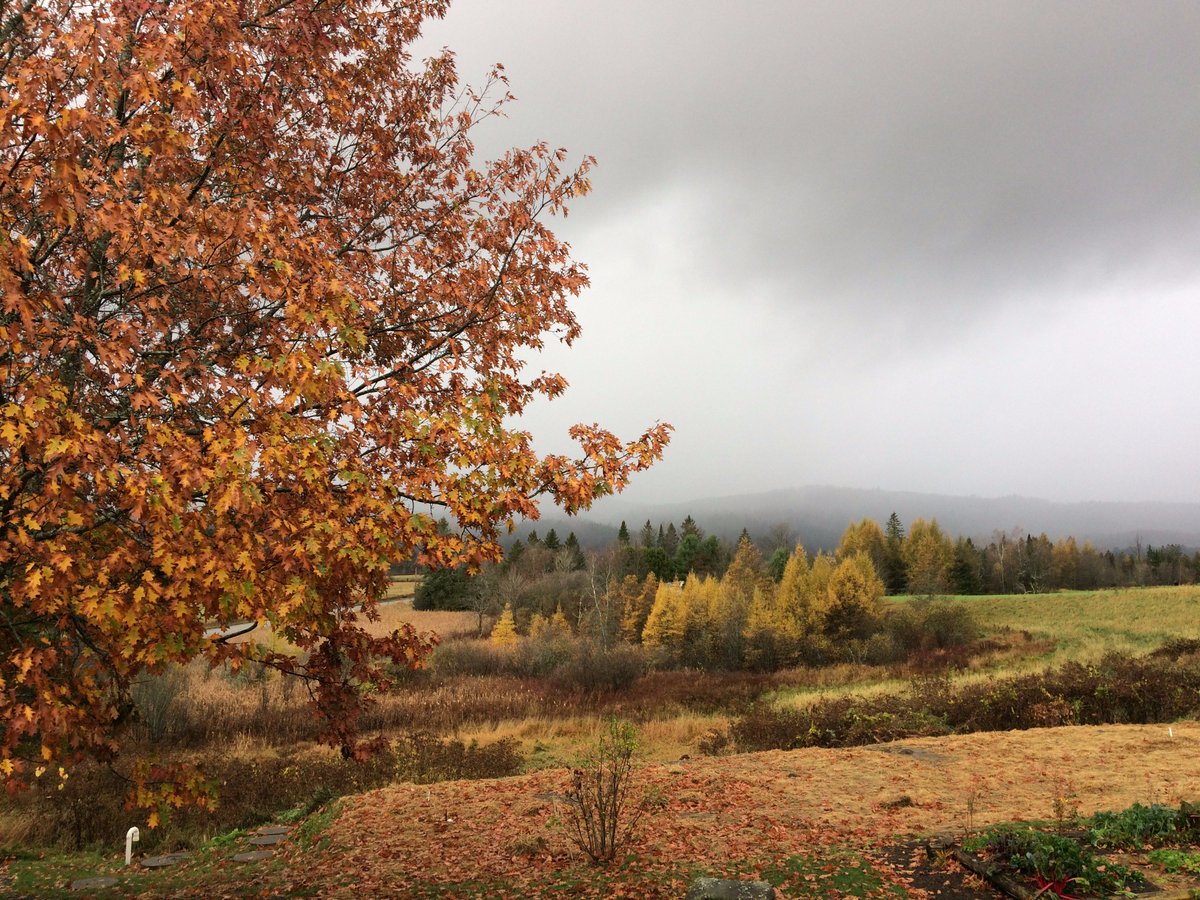 Sterling College Dedicated to Environmental Stewardship
