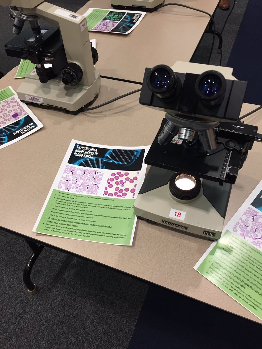 jessoharaPhD's tweet photo. Learning about antibiotic resistance at another excellent @SEIPH_USG student led Civic Engagement Event at @UatShadyGrove 🔬💊 https://t.co/RCCBUb8tsa