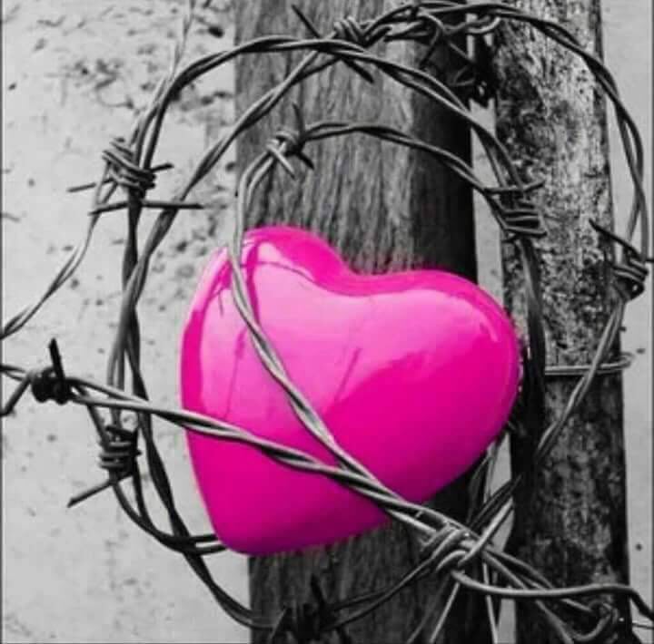 123khaled30's tweet photo. القُوة ... ليسَت فقط أن تَقبِضَ على لِسَانك وقت الغَضب !
 بل أيضاً أن تقبِض على قلبِك وقت تبعثُر المشَاعِر واضطِرابها ...

وماذا عن الفقد ؟ https://t.co/GVC4JnggJo