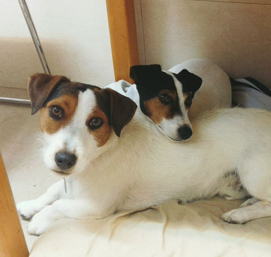 Cristina Casado tweet media