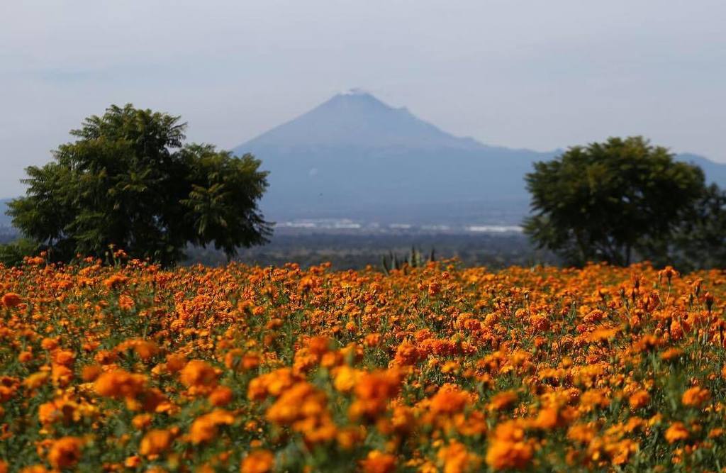 VarelaX's tweet photo. Me declaro admirador del trabajo de @grafico.200 disfruten esta bella postal #tlaxcala #tlaxcalasabemejor #descubr… https://t.co/M95RmAoaZx https://t.co/1W155eDyYY