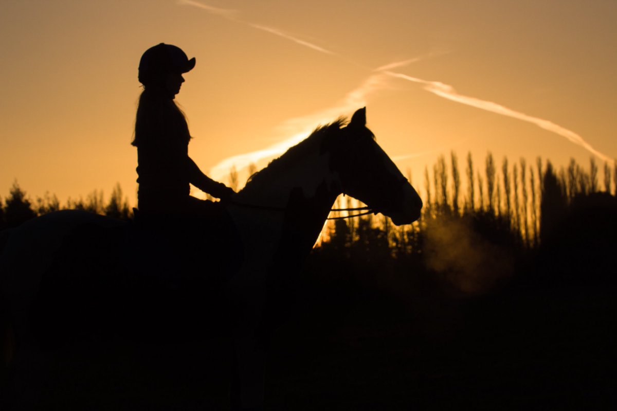 This was after our 6am schooling session on Monday morning 🌖🍂 Just perfect 👌🏼 Taken by <a href="/InTheMomentp/">In The Moment</a> 📷 <a href="/TheDressageHour/">#TheDressageHour</a> #TheDressageHour