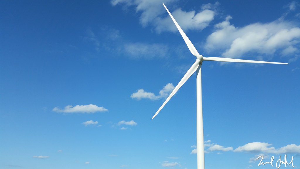 EcoHomeTips's tweet image. #survivalfitnessplan #sustainableliving