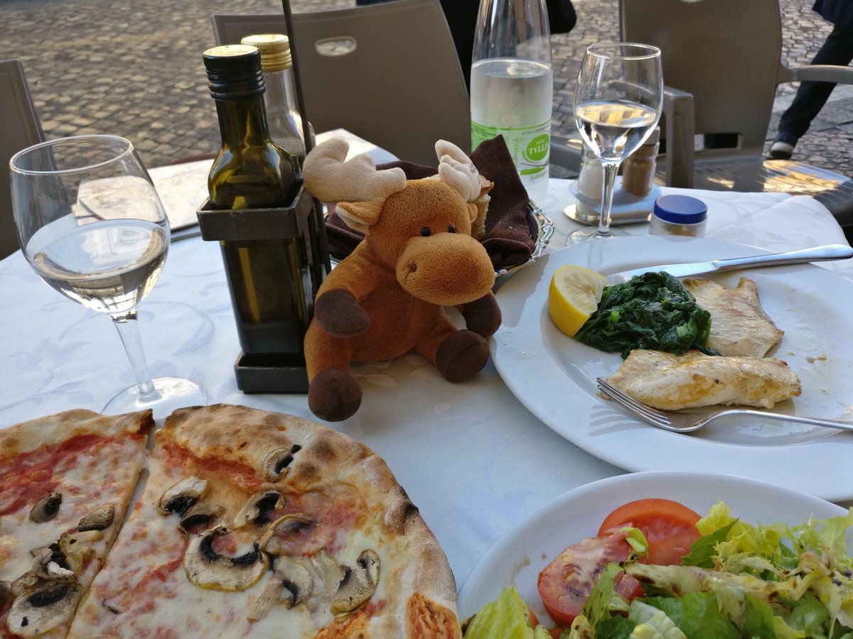 Moose_OnTheMove's tweet photo. Moose on the move loves Italian food especially when it is  alfresco dining. https://t.co/RUtbFDNBX2