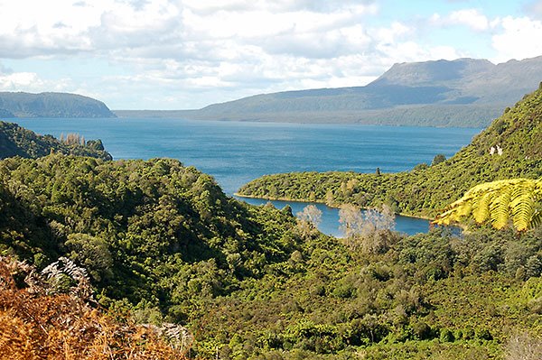 EAST CAPE The first place on the mainland #NewZealand to see the sun. This wildy, beautiful coast produces some of our finest #ManukaHoney.