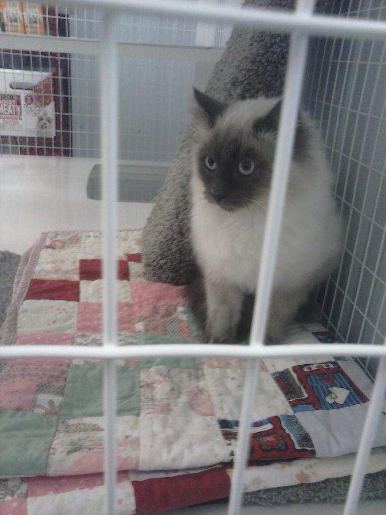 AlFogelberg's tweet image. HR4HR PL RT So i can tell my shelter neighbors i raise money for poor huricane people ty. Lunch Wagon