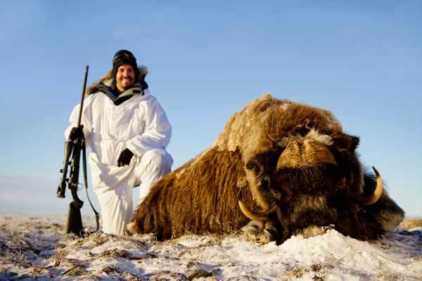 HuntWithWTA's tweet photo. Triple Threat – Muskox Rifle https://t.co/hmuuodt1sr https://t.co/IW7FkobNqs