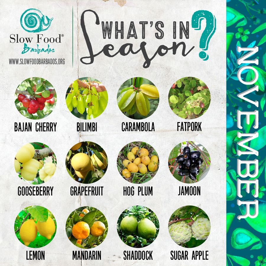 slowfoodbb's tweet photo. Lots of lovely fruit for the month of November! Which one are you most excited about?
#SlowFoodBB #SupportLocal #Fruitofthemonth https://t.co/q4bewnruXg