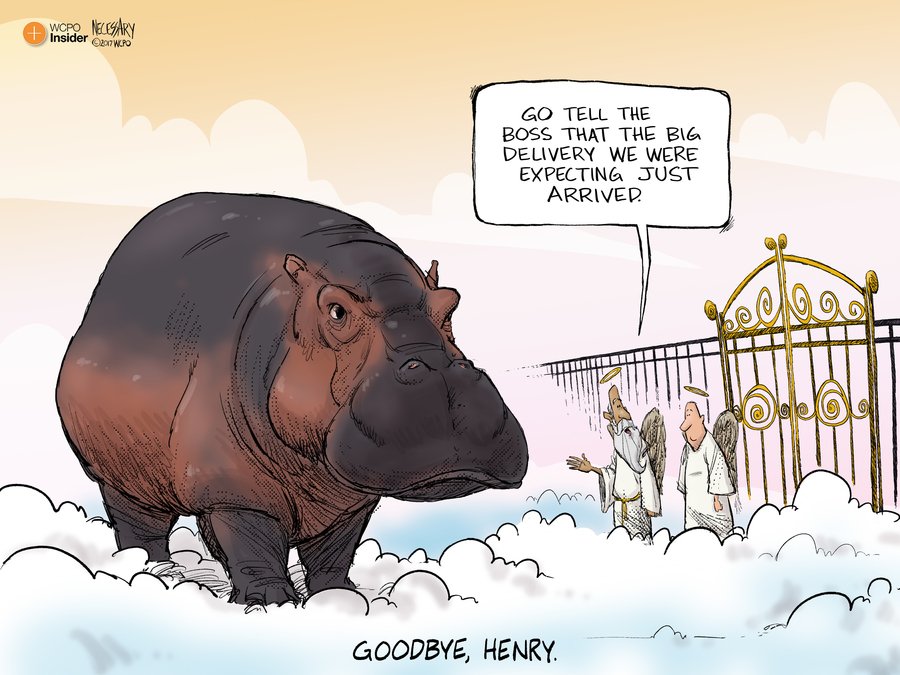 WCPO's tweet photo. All hippos go to Heaven. #TeamFiona https://t.co/JPtpz0mAnW https://t.co/Zg0VP8UOls