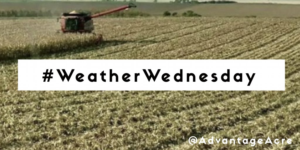 Advantage Acre tweet media