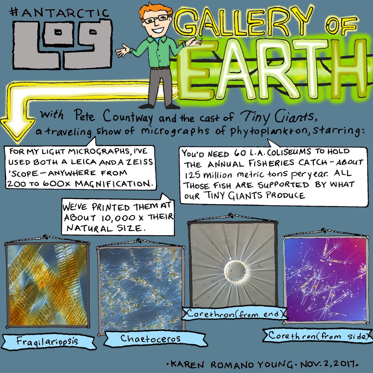 DoodlebugKRY's tweet image. Little things... #AntarcticLog focuses on #micrographs from @BigelowLab 's #TinyGiants exhibit. #Scienceandart #STEAM #STEM
#sciencecomics