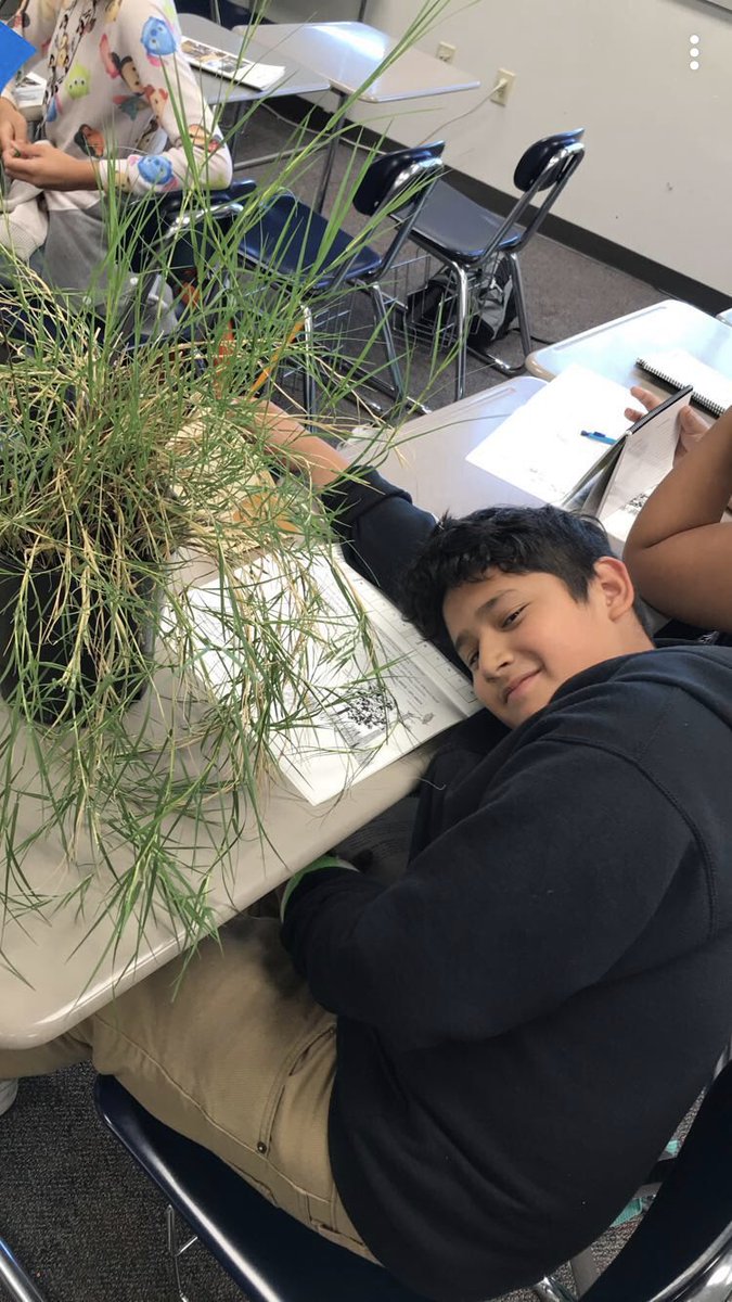 Noemi  Lay tweet media