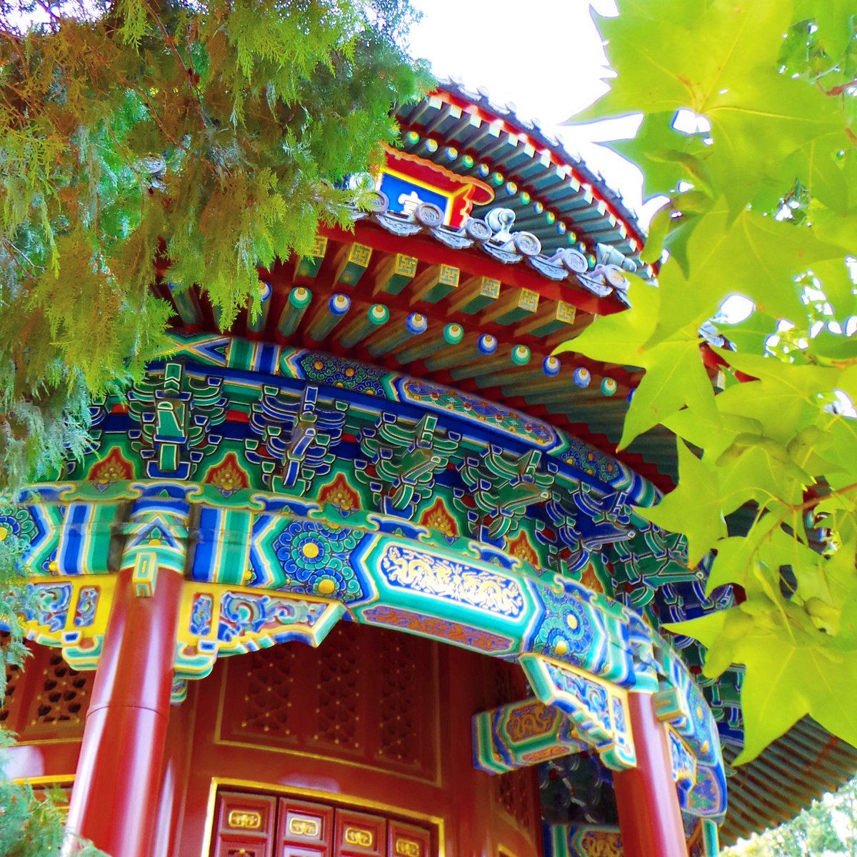 Snappy_Tappy's tweet photo. Day 14 - A stroll around the #ForbiddenCity &amp; #TiananmenSquare in #China. #beijing #photography #travel #asia @statravel_UK @theDragonTrip https://t.co/QCqDLPkeo6