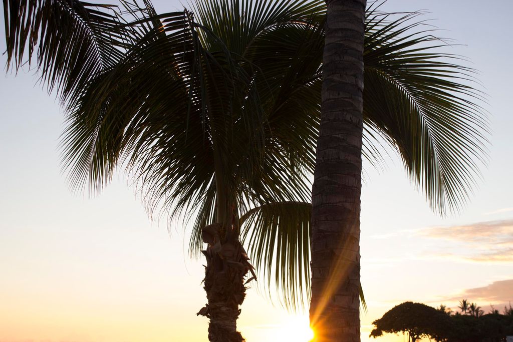 DiamondHeadLuau's tweet photo. Hello, November 🍂 #newmonth #fall https://t.co/G7rnvZXLqo