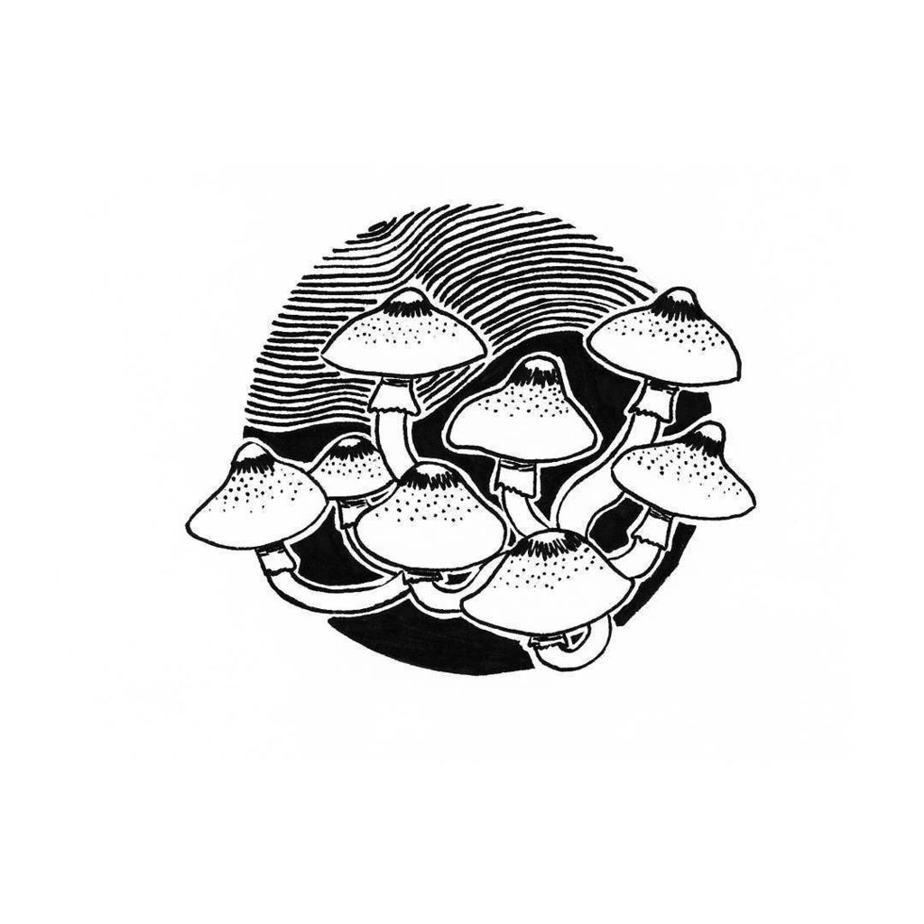 kinga_szumilas's tweet photo. Day 29: #united mushrooms!
#inktober #inktober2017 #drawingchallenge #fineliners #draweveryday2017 #blackandwhite… https://t.co/T4Evgob1fL https://t.co/5NZeCvpilj