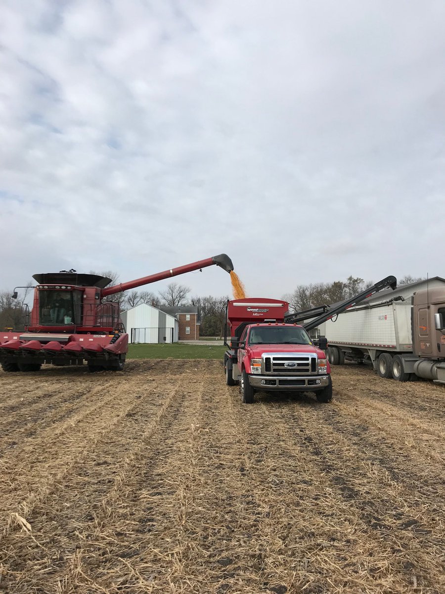 NRN42's tweet photo. Another #yieldhero plot harvested today by Granite Falls. #P9998AMXT #P0306AMXT #P0589AMXT! @FrommRyan @PioneerMN https://t.co/supewBTzo9