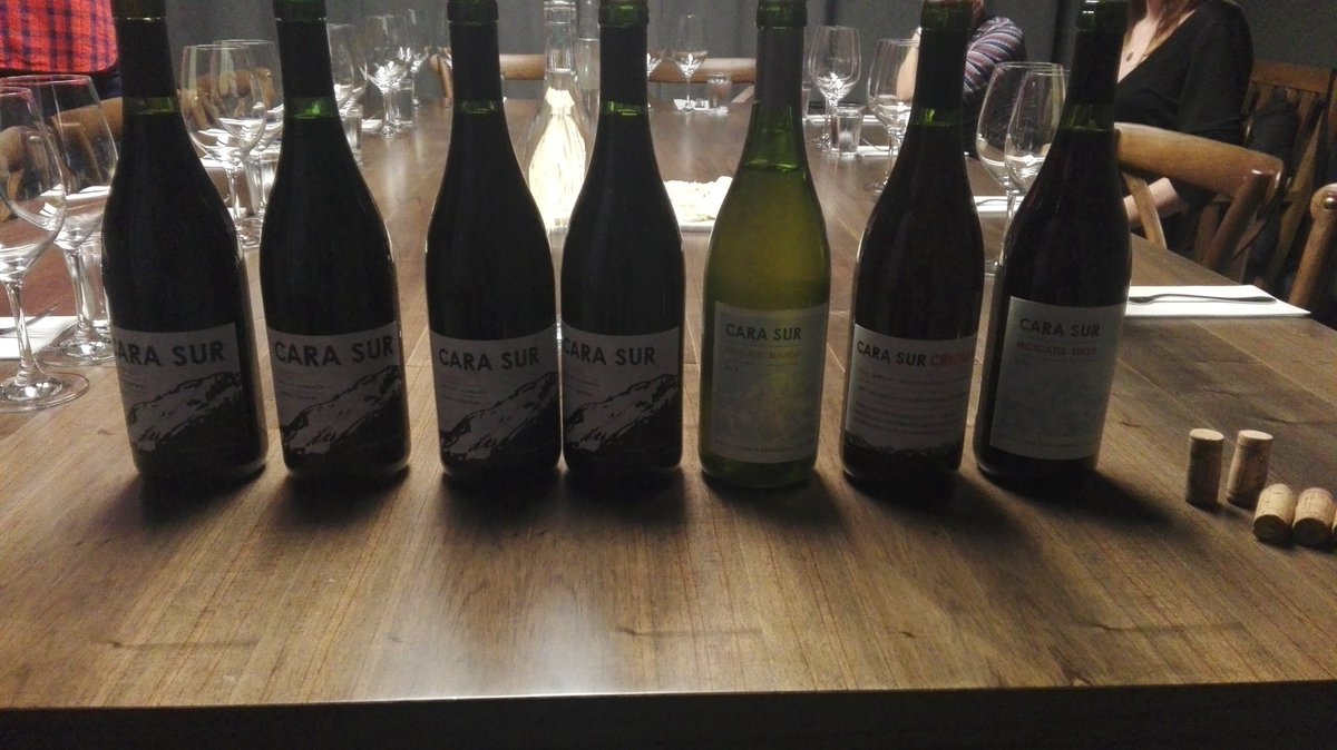 Presentando Cara Sur by <a href="/panchobugallo/">CaraSur Barreal</a> en 
Winemakers