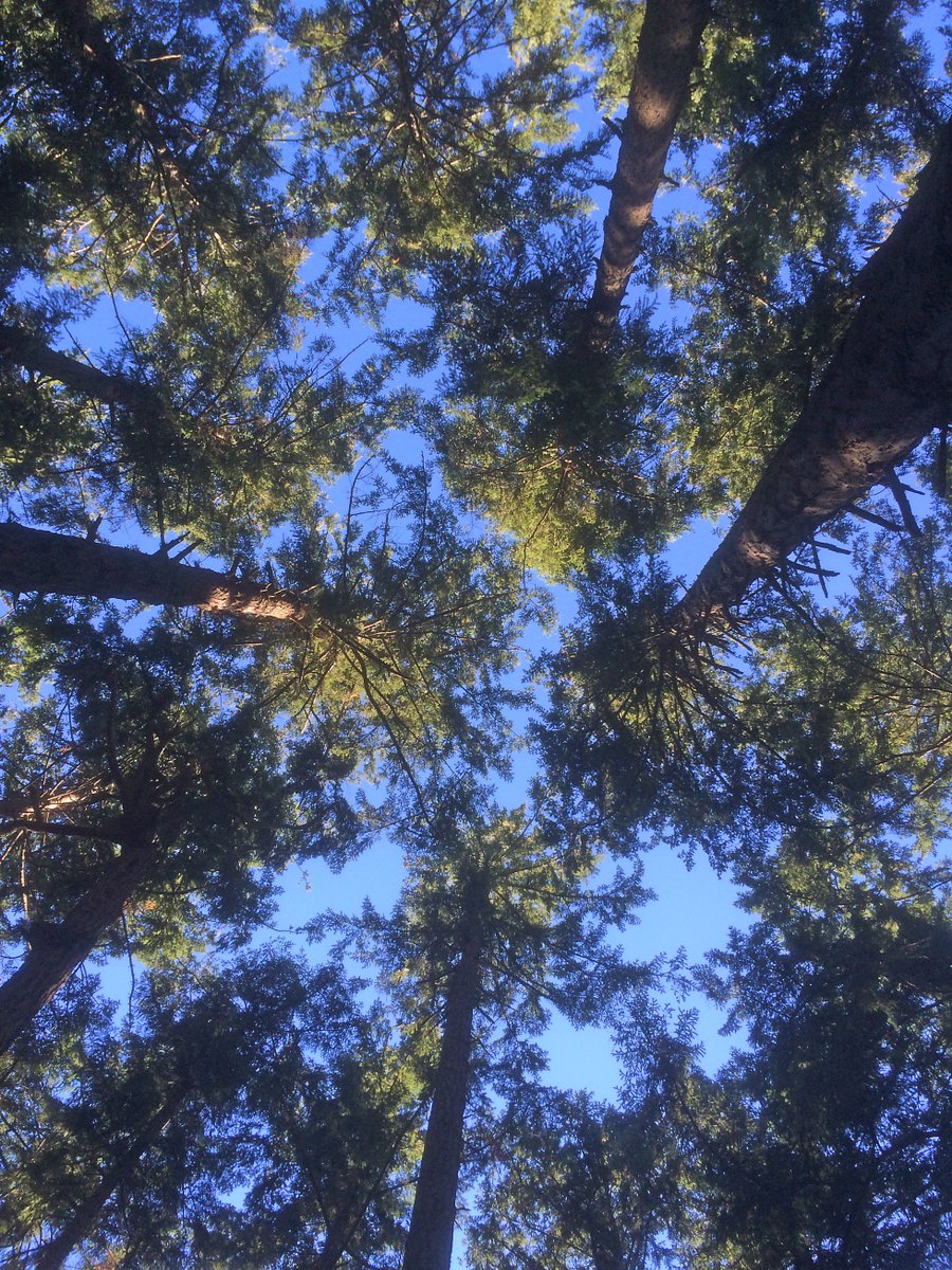 iD2 Communications tweet media